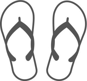 shoe